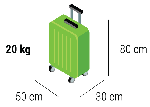 Flixbus baggage best sale